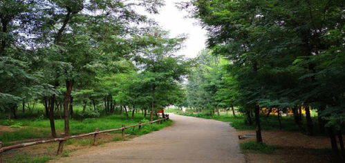 鹿島森林公園門票預(yù)訂與代理指南